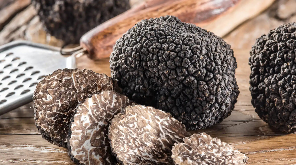 Sélection de produits gastronomiques à la truffe : moutarde, foie gras, chips, caviar et saucisson à la truffe EasyGusto
