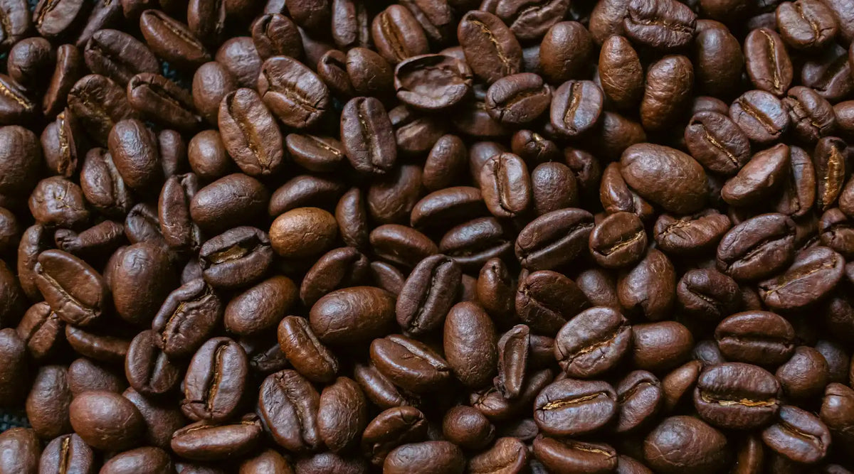 Grains de café torréfiés vus de près, texture brillante et couleur brun foncé, symbolisant un café italien de qualité.