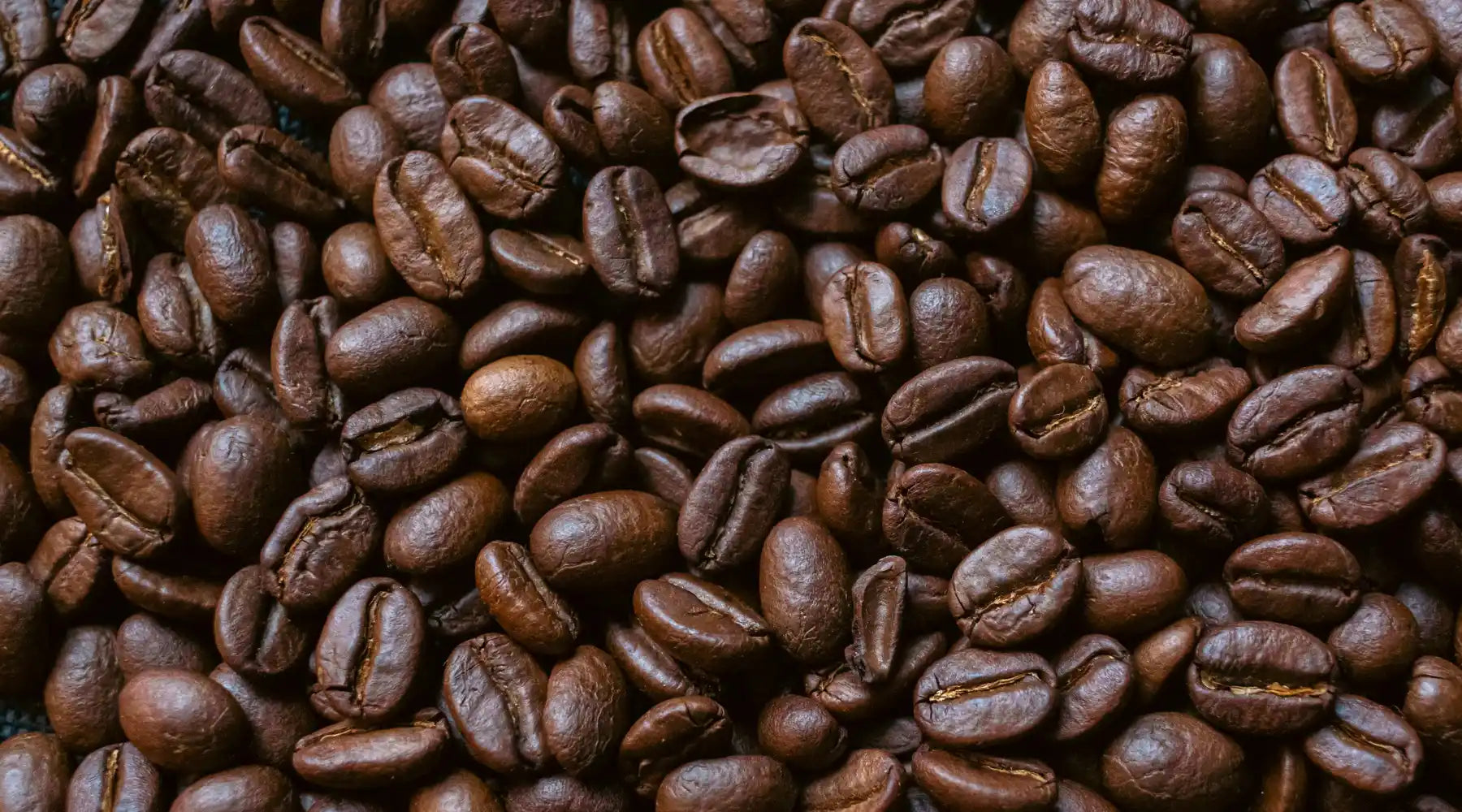 Grains de café torréfiés vus de près, texture brillante et couleur brun foncé, symbolisant un café italien de qualité.