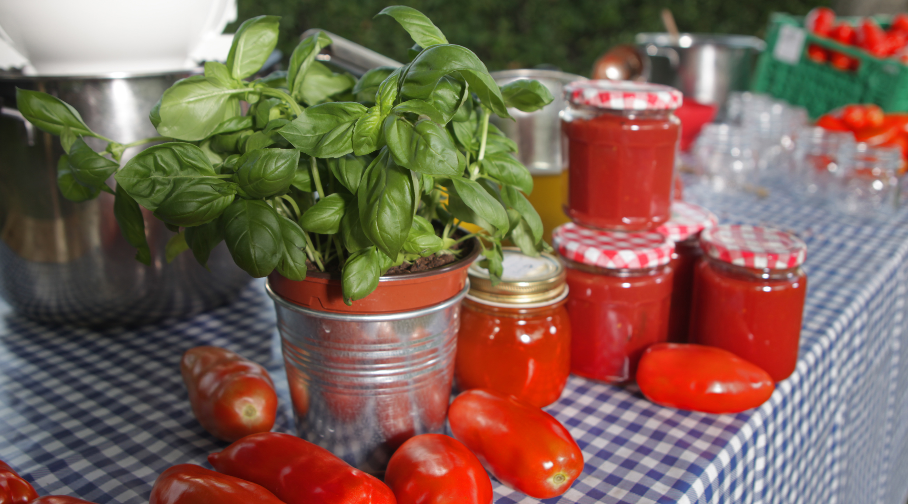 RECETTE PASSATA DI POMODORO