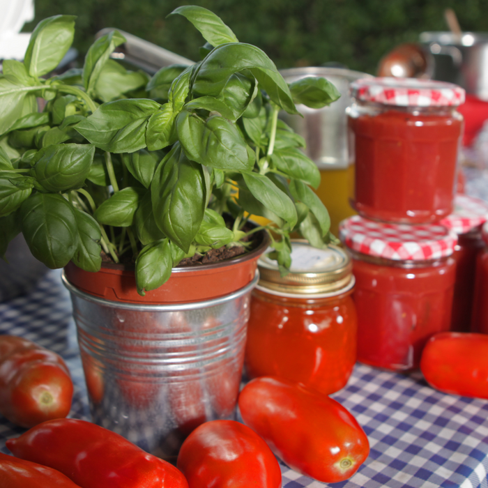 RECETTE PASSATA DI POMODORO