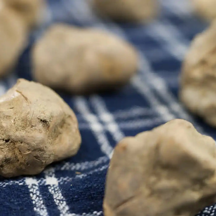 Truffe blanche d’Alba fraîche sur un tissu bleu, ingrédient rare et prestigieux de la gastronomie italienne.